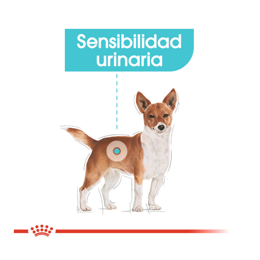 85 g Royal Canin Urinary Care pat&eacute; sobre para perros, , large Imagen numero 4